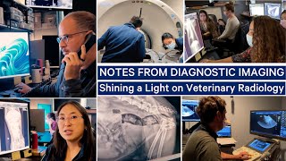 Notes from Diagnostic Imaging: Shining a Light on Veterinary Radiology