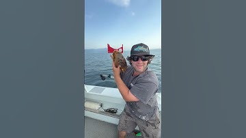 Crabbing for Dungeness in Puget sound September 2025