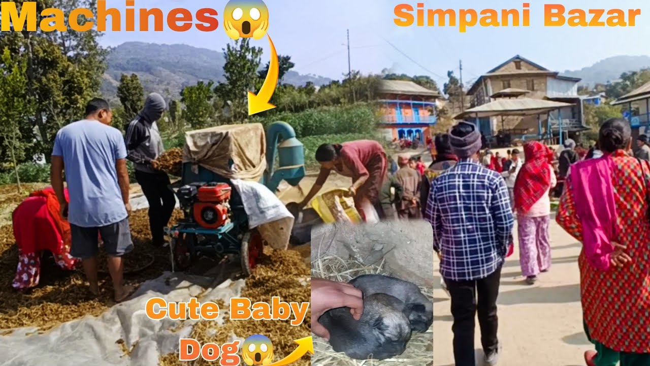 Gaun Pariwartan Hudei.. || Yetro Thulo Bazar🤯 || Kukur KO Baccha K K xAn Ta? || Sushan Vlogs 