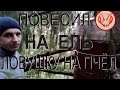 Сделал и повесил очередную ловушку на пчёл.  Скрута из ДВП. Повесил на ель, лесок у поля