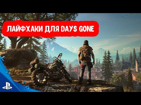 Лайфхаки для Days Gone. Полезные советы новичкам.