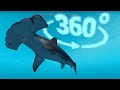 SWIMMING WITH SHARKS in 360°! | Beyond Blue | Virtual Reality Experience