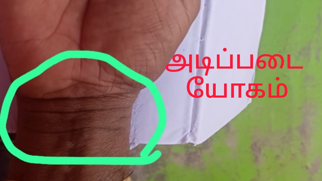 அடிப்படை யோகம் பரம்பரையாக பணம் நீண்ட ஆயுள் ll palmistry video llastrology கைரேகை ஜோதிடம்