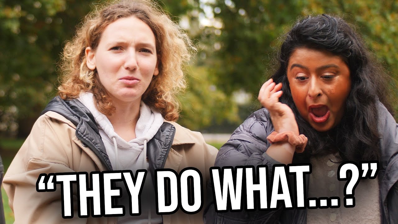 Quiz What Can Legally Be Done To Animals YouTube Quiz What Can Legally Be Done To Animals YouTube