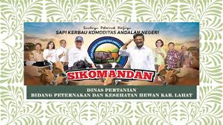 Sapi Kerbau Komoditas Andalan Negeri (Sikomandan)