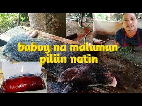 Video: Paano Tayo Pipili Ng Kapareha Sa Buhay? Mga Archetypes