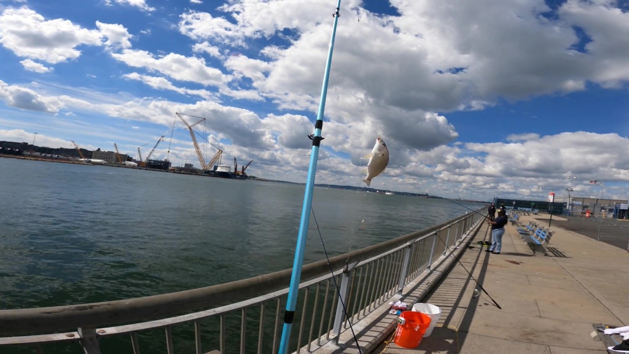 NYC-RED HOOK BROOKLYN FISHING 9/05/2026