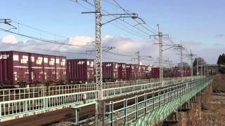 2016-01-11 3085列車 EF66 33牽引 後追い