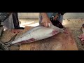 Tuna Fish Cutting All Over Skills|| Tuna Fish Cutting Video|| Tuna Fish|| Fish Cutting