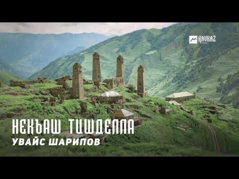 Мас порнороликтері