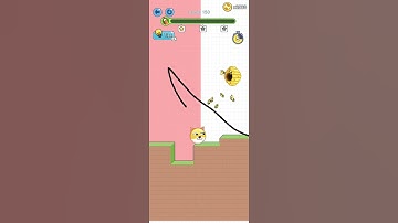 Save the Doge Levels 150 Save Animals walkthrough for Save the Doge answers solutions. #savethedoge#
