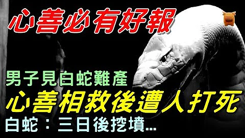 【鄉村奇聞故事】男子見白蛇難產，心善相救後意外遇難，白蛇：三日後開墳... - 天天要聞