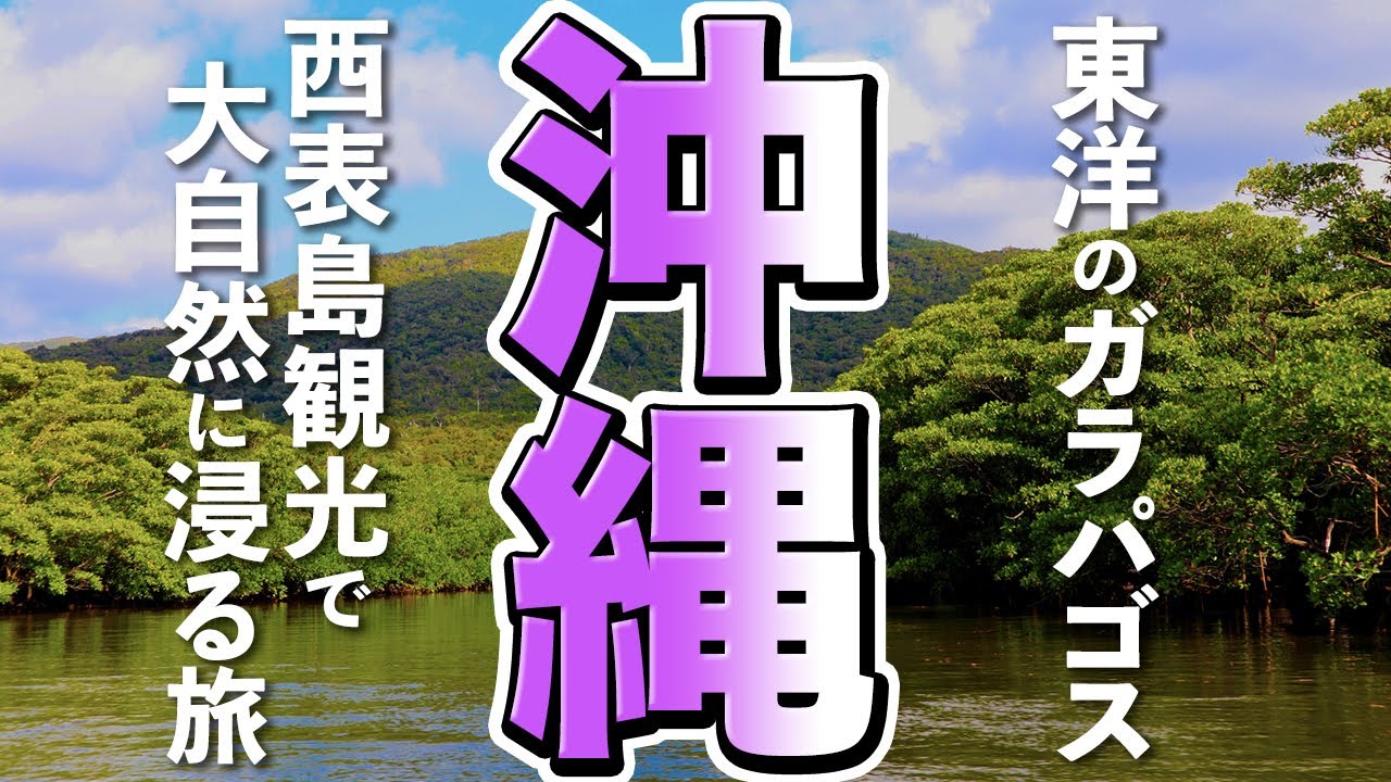 (未使用･未開封品)Healing s OKINAWA ~BEST BEACH~ ~沖縄本島・宮古島・竹富島・西表島・石垣島~ Amazon.co.jp: Healing Islands OKINAWA ~BEST BEACH~ ~沖縄本島