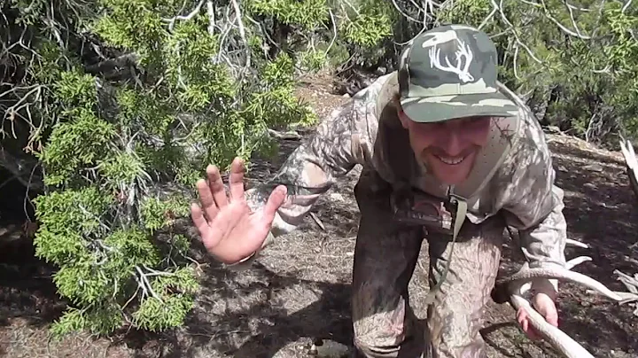 2017 Elk Browns Part 1 Brandon Pitcher