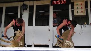 Blade Shearing Final_Goroke 2017