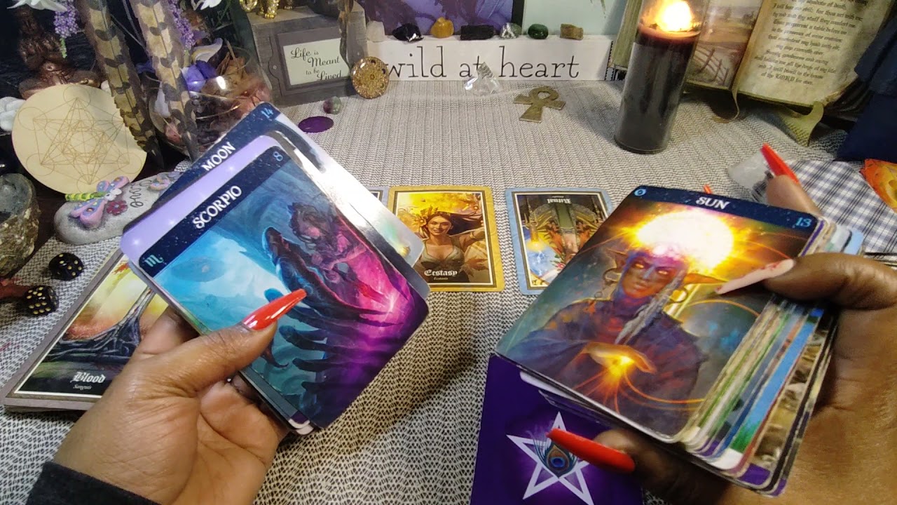 What happened last night?!Their infatuation w/ trying to take u down, Everything they 💚 is being...