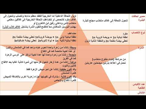 مقارنة بين عاريات البذور ومغلفات البذور للبكالورياsouadtahan