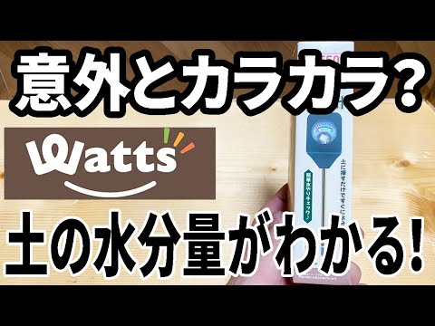 【ワッツ購入品】園芸用の水分計で植木の水不足をチェック!ほんとに使える? hqdefault