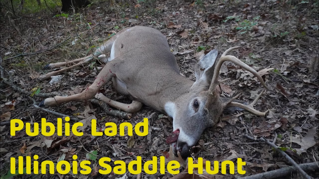 TREE SADDLE HUNT WITH CROSSBOW! Crossbow SADDLE HUNT Deer Hunting