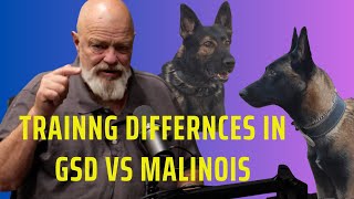 Different Type of  Protection Training for German Shepherd vs Malinois