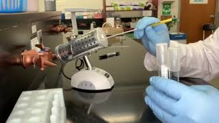 Broth Transfer