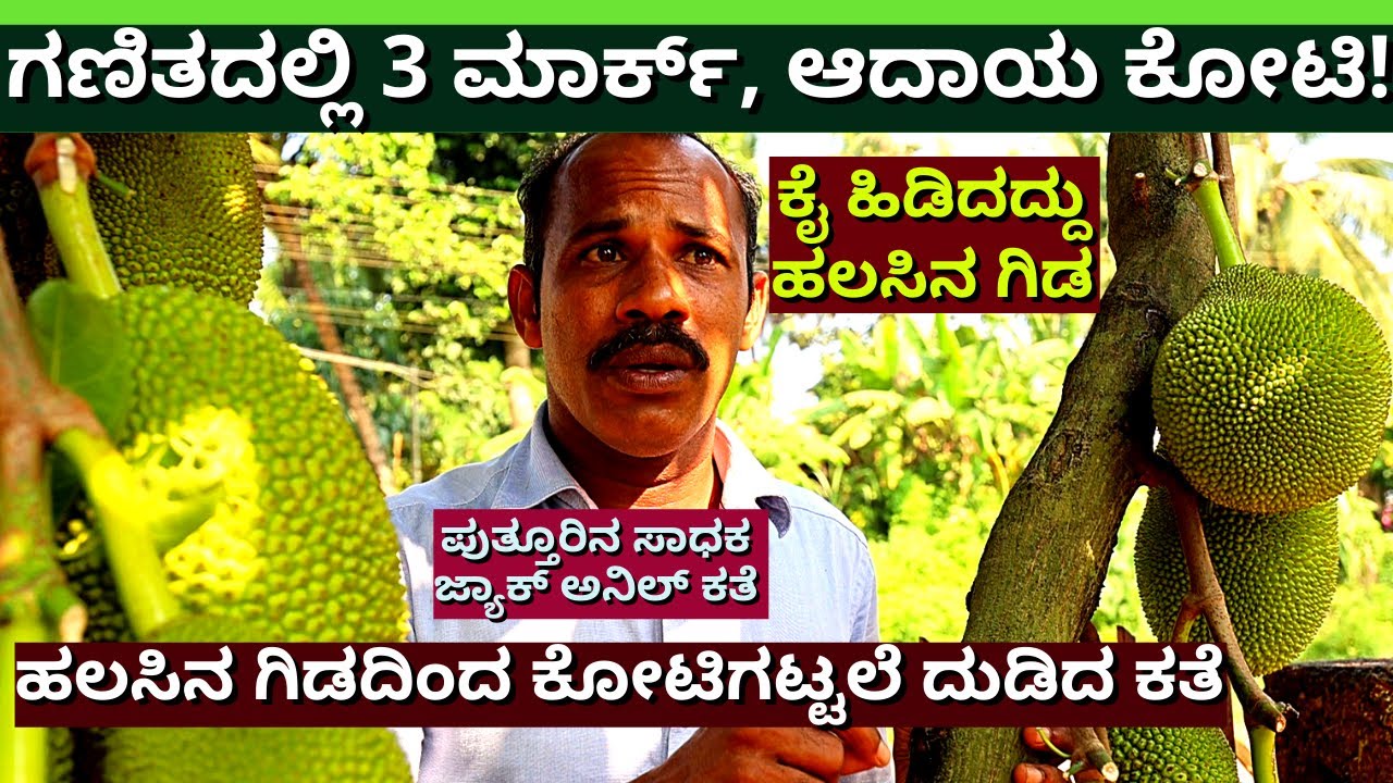 "ಗಣಿತದಲ್ಲಿ 3 ಮಾರ್ಕ್, ಆದ್ರೆ ದುಡಿಮೆ ಕೋಟಿಗಳಲ್ಲಿ!-ಹಲಸಿನಿಂದ ಕೋಟಿಗಟ್ಟಲೆ ದುಡಿಯುತ್ತಿರುವ Jack Anil Story