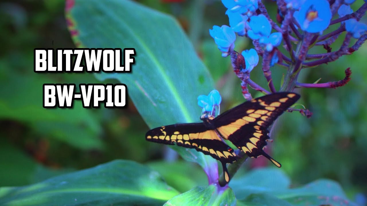 BlitzWolf BW-VP10 4K HDR Demo - Is it better than BlitzWolf VP6? Full review is posted!!!