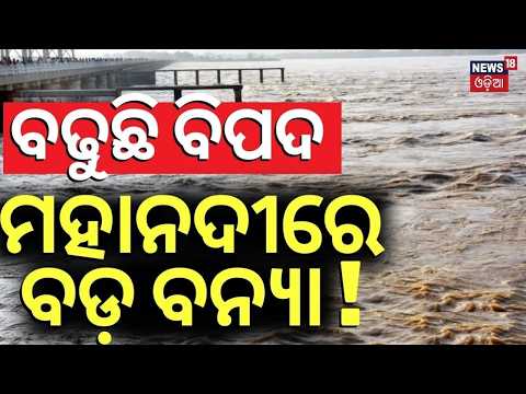 ମାଡ଼ି ଆସୁଛି ବଡ଼ ବନ୍ୟା ! Odisha Flood News | Big Flood Alert For Odisha | Odisha Rain  News