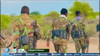 Horjooge ka tirsanaa AS oo lagu dilay Galgaduud.