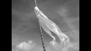 Dido - White Flag Punk cover