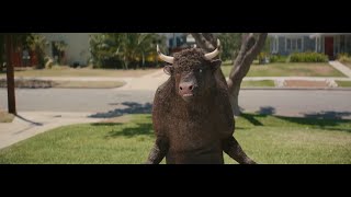 Credible Credibull Compilation