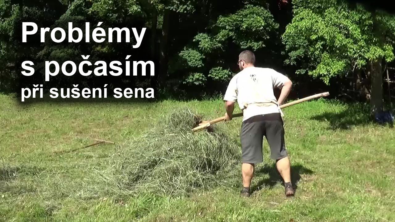 Počasí při sušení sena - Kosení trávy