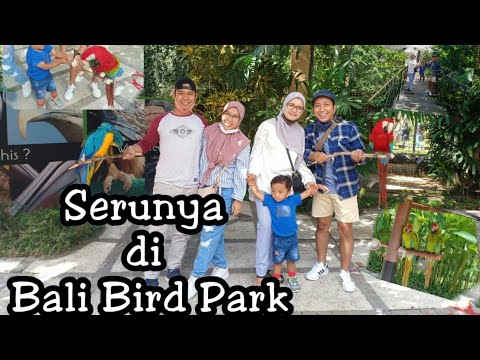 Berlibur ke Bali Bird Park | Asiknya mengenal berbagai jenis burung dan