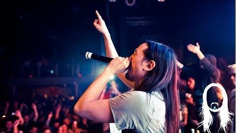 Afrojack & Steve Aoki - No Beef ft. Miss Palmer