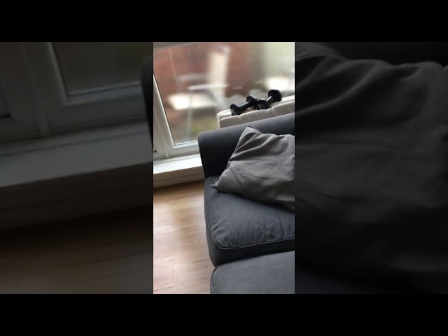 Video 1: living room