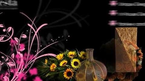 Web Video - Video Web Presenter - Flash Animation