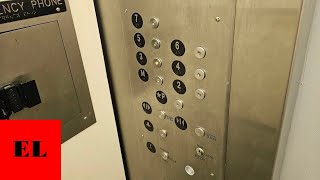 PTL Modded Dover Traction Elevators - UT Stokely Management Center (Knoxville, TN)