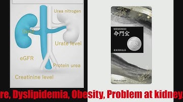 Nov17th2025 - Release the Files Au Dam