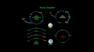 Kumu Template V Toolbar