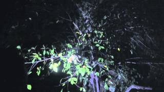 Ghost Trail Ep 2 Part 3
