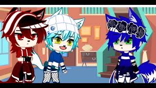 Perr Envidiosatu Eres Mio Meme? Sonadow 1? Mi Au