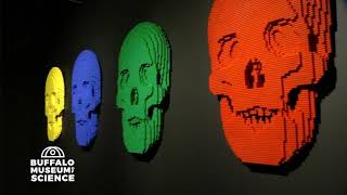 THE ART OF THE BRICK, presented by M&T Bank