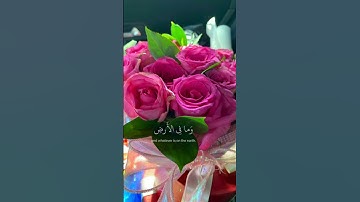 اية الكرسي القارئ عبدالرحمن مسعد
