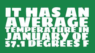 What is the average annual precipitation of Los Angeles?