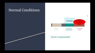 GN 311 Exam Mini Video 6