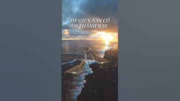 Tiếng chim DẼ GIUN bản cổ âm thanh hay