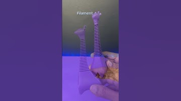 Meet my bendy buddy – the 3D printed flexi giraffe! Who knew giraffes could be this flexible?