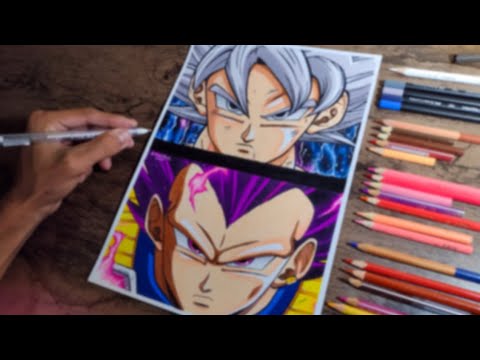 Vegeta Ultra Ego Vs Goku ssj Blue  Personagens de anime, Anime, Desenho de  anime