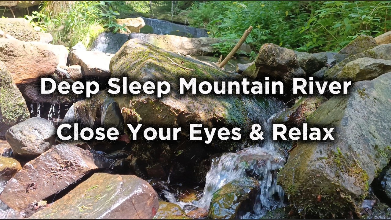 Can’t Sleep? Let This Mountain River Carry You Away 🌊 Forest & Bird Sounds