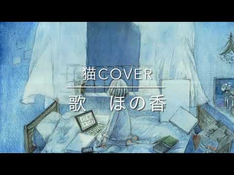 【猫】DISH//cover ドラマ主題歌　女性キーで歌ってみた　歌：ほの香